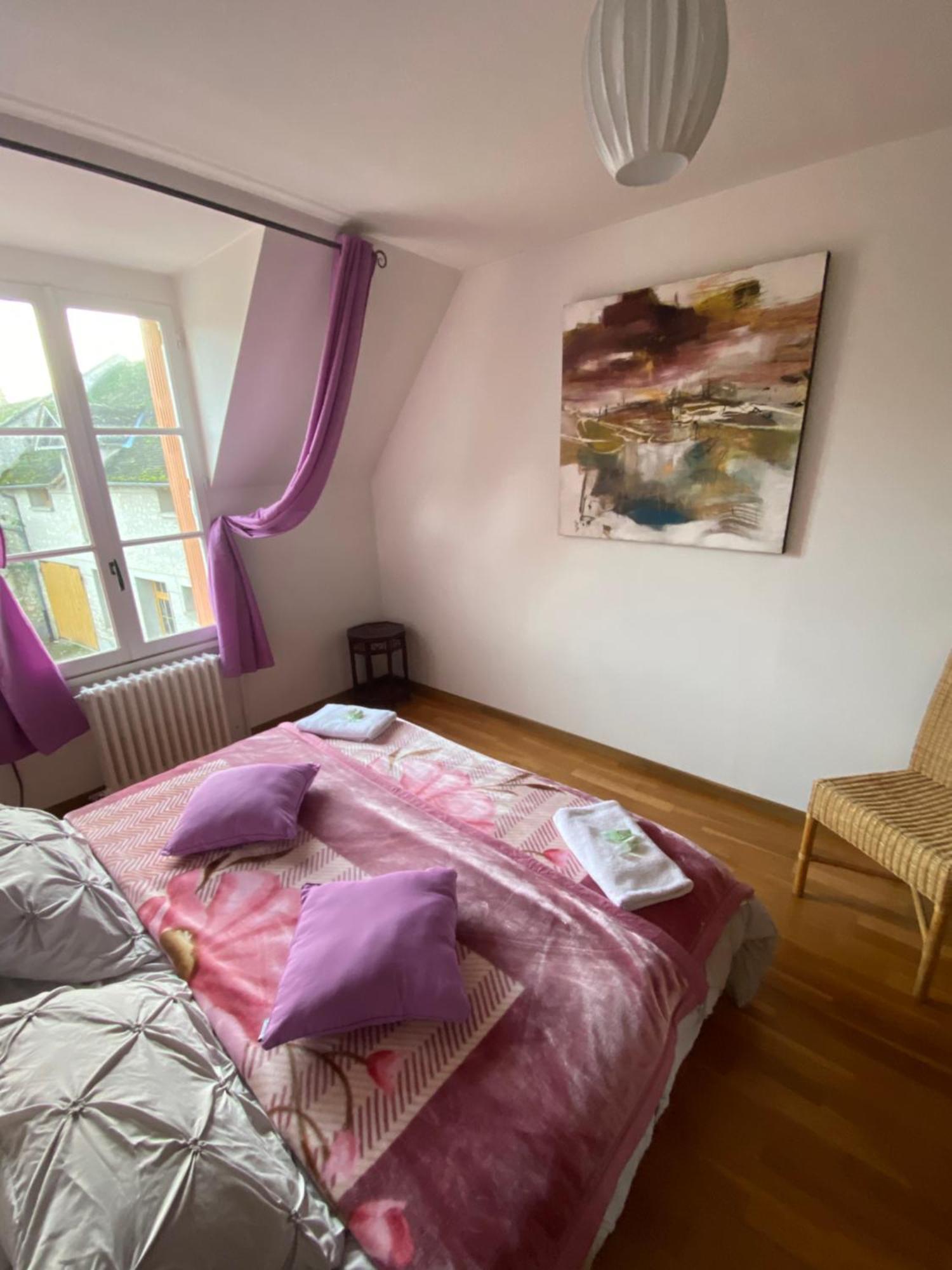Villenauxe-la-Petite Le Domaine De Toussacq Bed & Breakfast エクステリア 写真