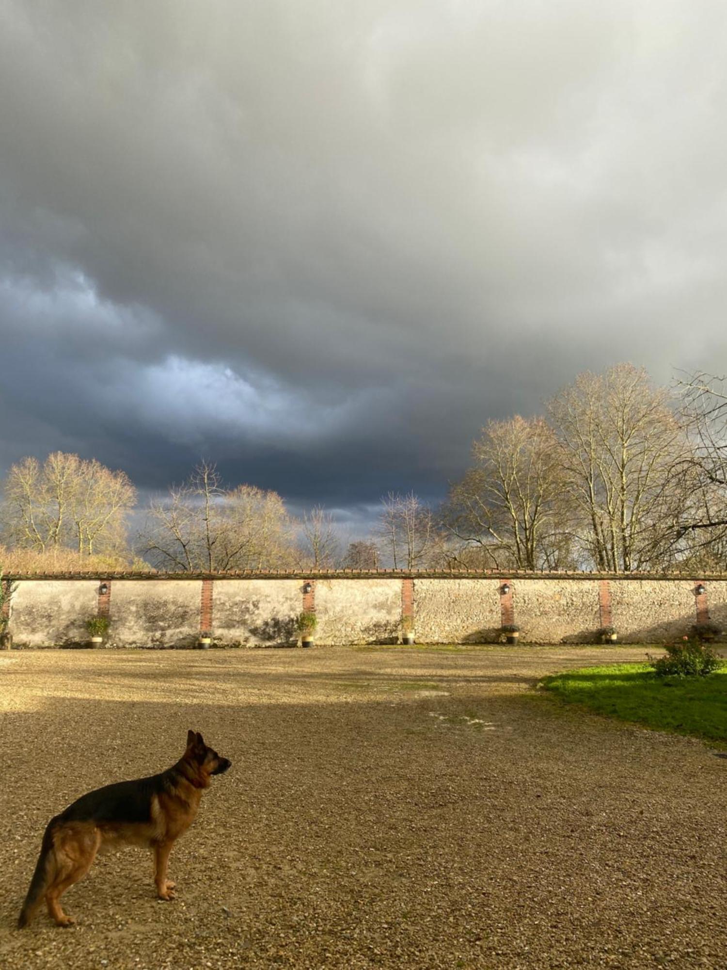 Villenauxe-la-Petite Le Domaine De Toussacq Bed & Breakfast エクステリア 写真